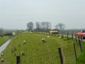 Noord-Holland-2010-10-site-285