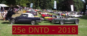 Dutch National Triumph Day